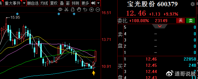 宝光股份最新消息全面解读与分析